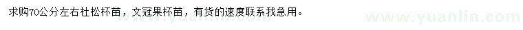 求購(gòu)70公分左右杜松、文冠果