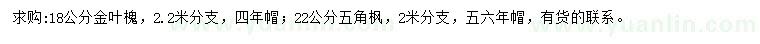 求購18公分金葉槐、22公分五角楓
