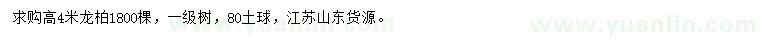 求購(gòu)高4米龍柏