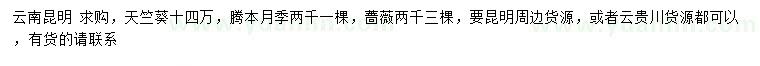 求購天竺葵、騰本月季、薔薇