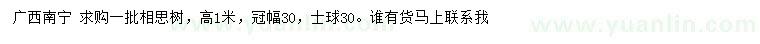 求購高1米相思樹