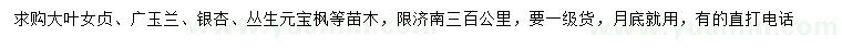 求購(gòu)大葉女貞、廣玉蘭、銀杏等