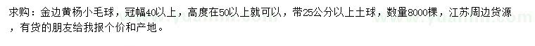 求購冠幅40公分以上金邊黃楊小毛球