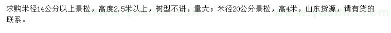 求購米徑14公分以上、20公分景松