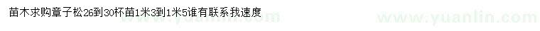 求購26-30公分章子松