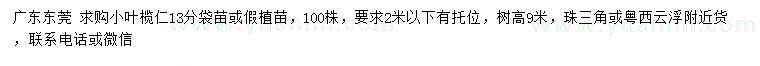求購13公分小葉欖仁