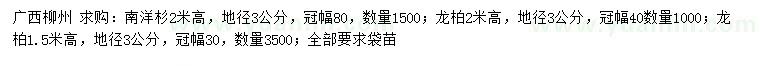 求購地徑3公分南洋杉、龍柏