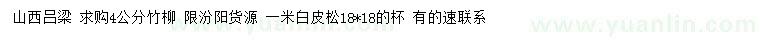 求購4公分竹柳、1米白皮松