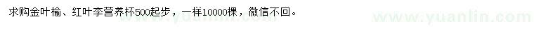求購金葉榆、紅葉李