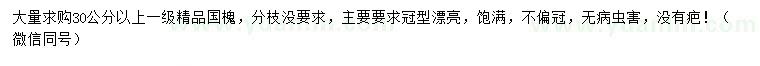 求購30公分以上國槐
