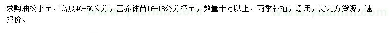 求購高度40-50公分油松小苗