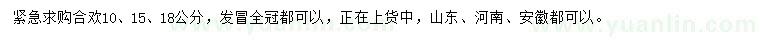 求購(gòu)10、15、18公分合歡