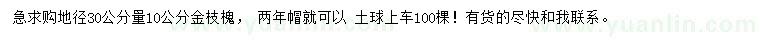 求購30量10公分金枝槐