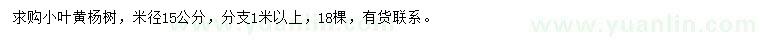 求購米徑15公分小葉黃楊