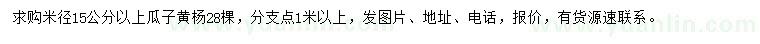 求購米徑15公分以上瓜子黃楊