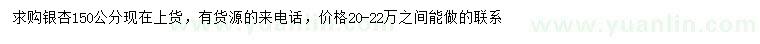 求購150公分銀杏