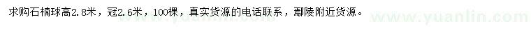 求購冠2.6米石楠球