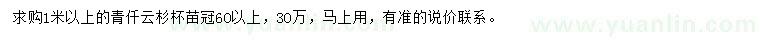 求購1米以上青仟云杉