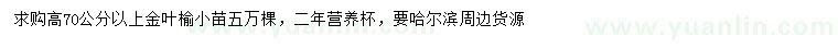 求購(gòu)高70公分以上金葉榆小苗