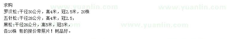 求購羅漢松、五針?biāo)?、黑? />
                        <br />
                        <label style=
