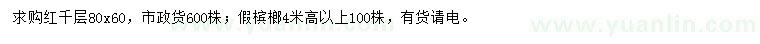 求購(gòu)80*60紅千層、高4米以上假檳榔