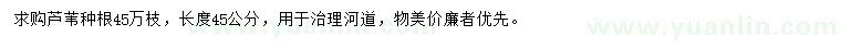 求購長度45公分蘆葦種根