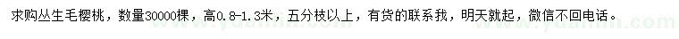 求購(gòu)高0.8-1.3米叢生毛櫻桃