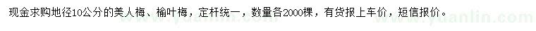 求購地徑10公分美人梅、榆葉梅