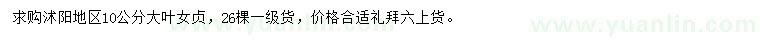 求購10公分大葉女貞