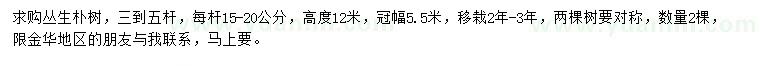 求購高12米叢生樸樹