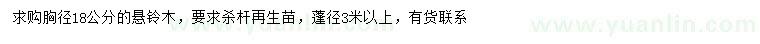 求購(gòu)胸徑18公分懸鈴木