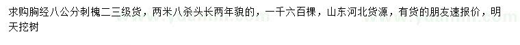 求購胸徑8公分刺槐
