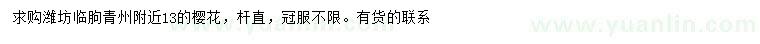 求購13公分櫻花