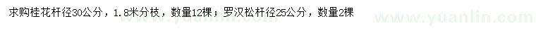 求購桿徑25、30公分羅漢松