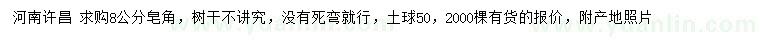 求購8公分皂角