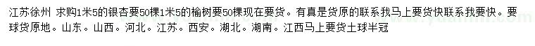 求購1.5米銀杏