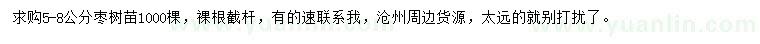 求購5-8公分棗樹苗