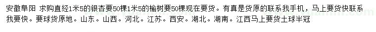 求購直經(jīng)1.5米銀杏、榆樹