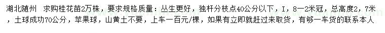 求購總高2.7米桂花苗
