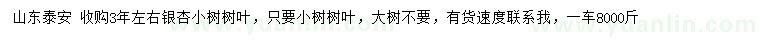 求購3年左右銀杏小樹