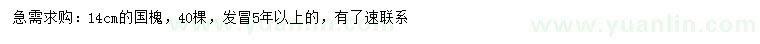 求購14公分國槐