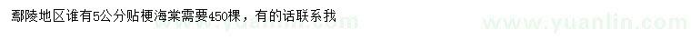 求購5公分貼梗海棠