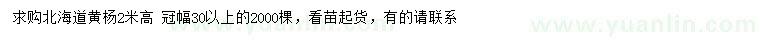 求購高2米北海道黃楊