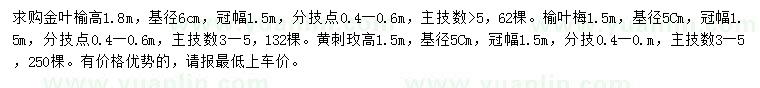 求購金葉榆、榆葉梅、黃刺玫