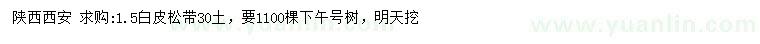 求購(gòu)1.5米白皮松