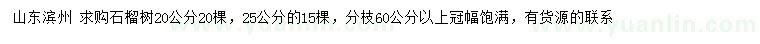 求購20、25公分石榴樹