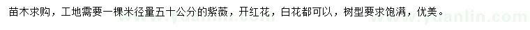 求購米徑量50公分紫薇