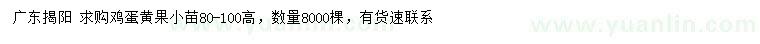 求購高80-100公分雞蛋黃果小苗