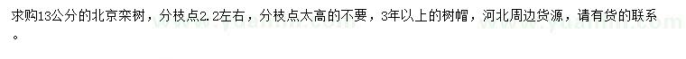 求購13公分北京欒樹