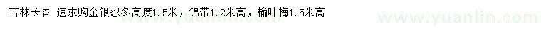 求購(gòu)金銀忍冬、錦帶、榆葉梅